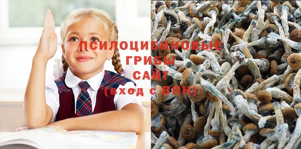 не бодяженный Балахна